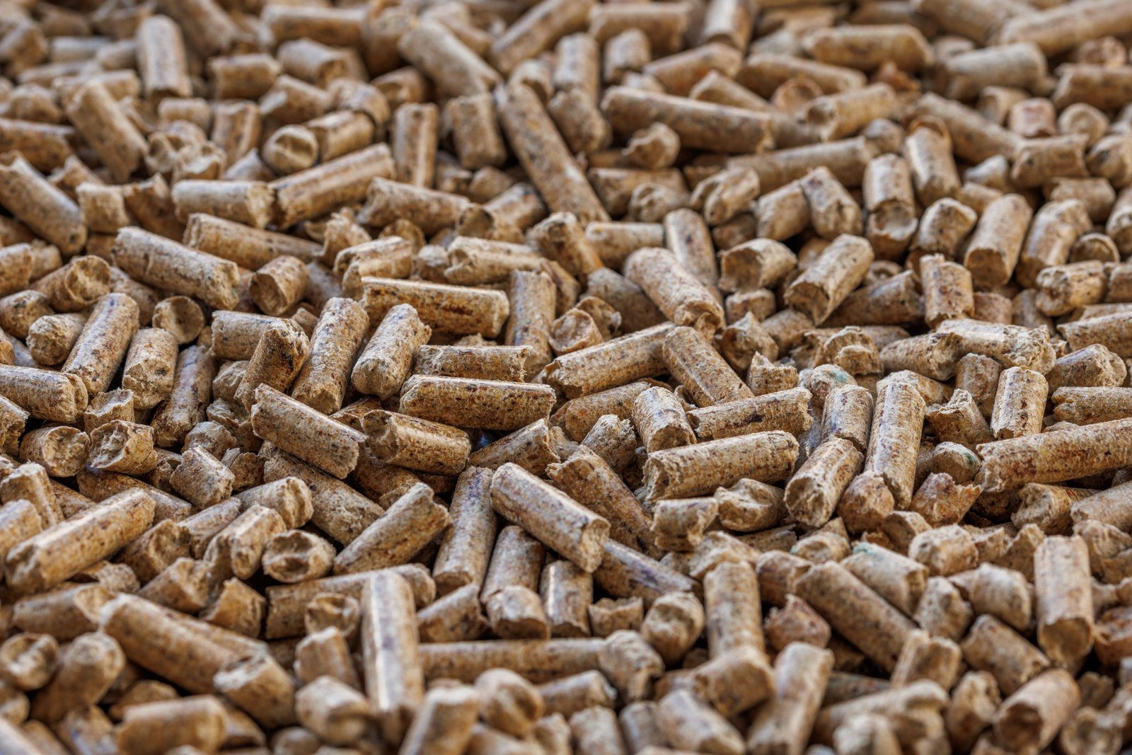 Bio Pellets Manufacturing Equipment